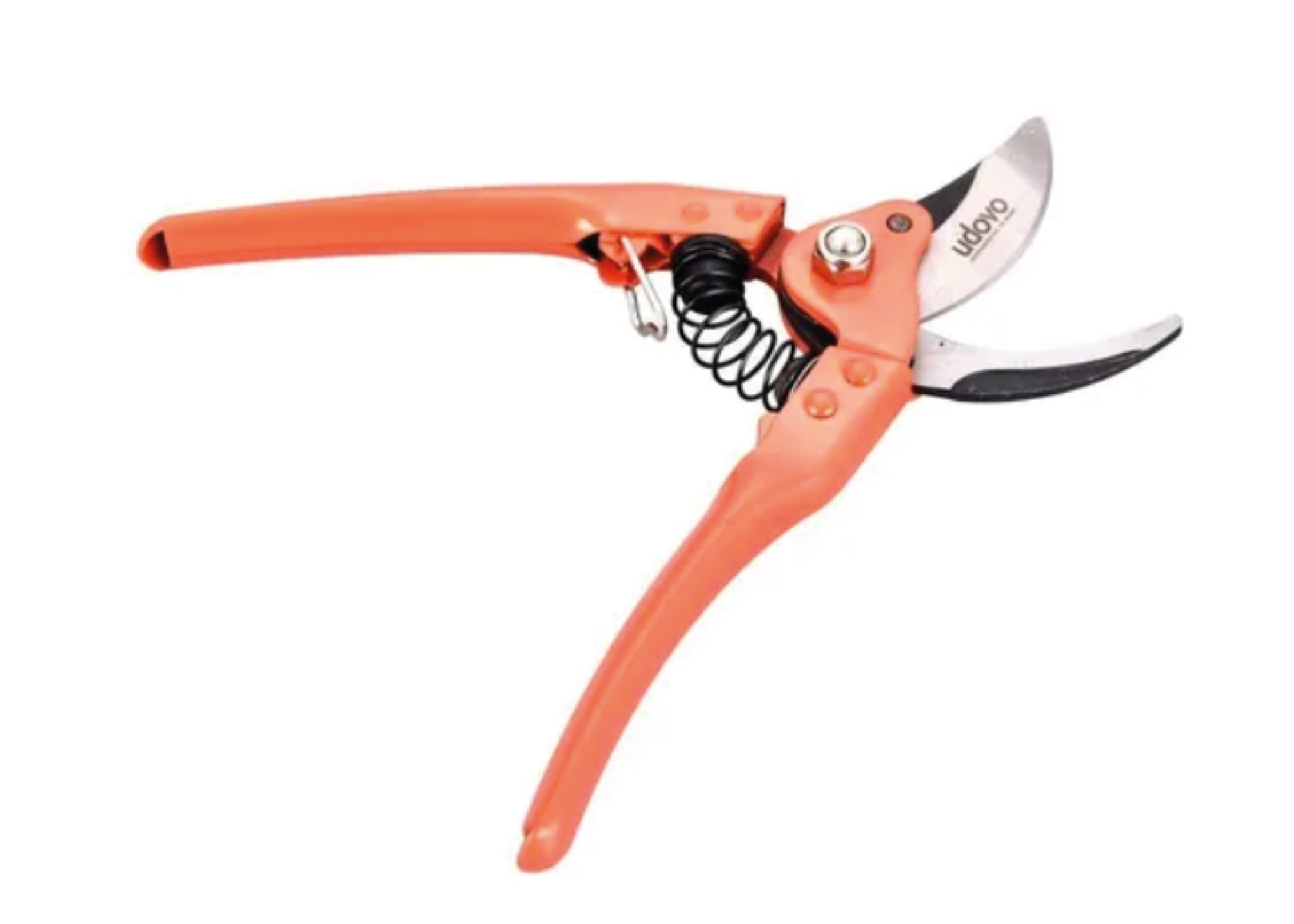  ☹ Imagen no disponible