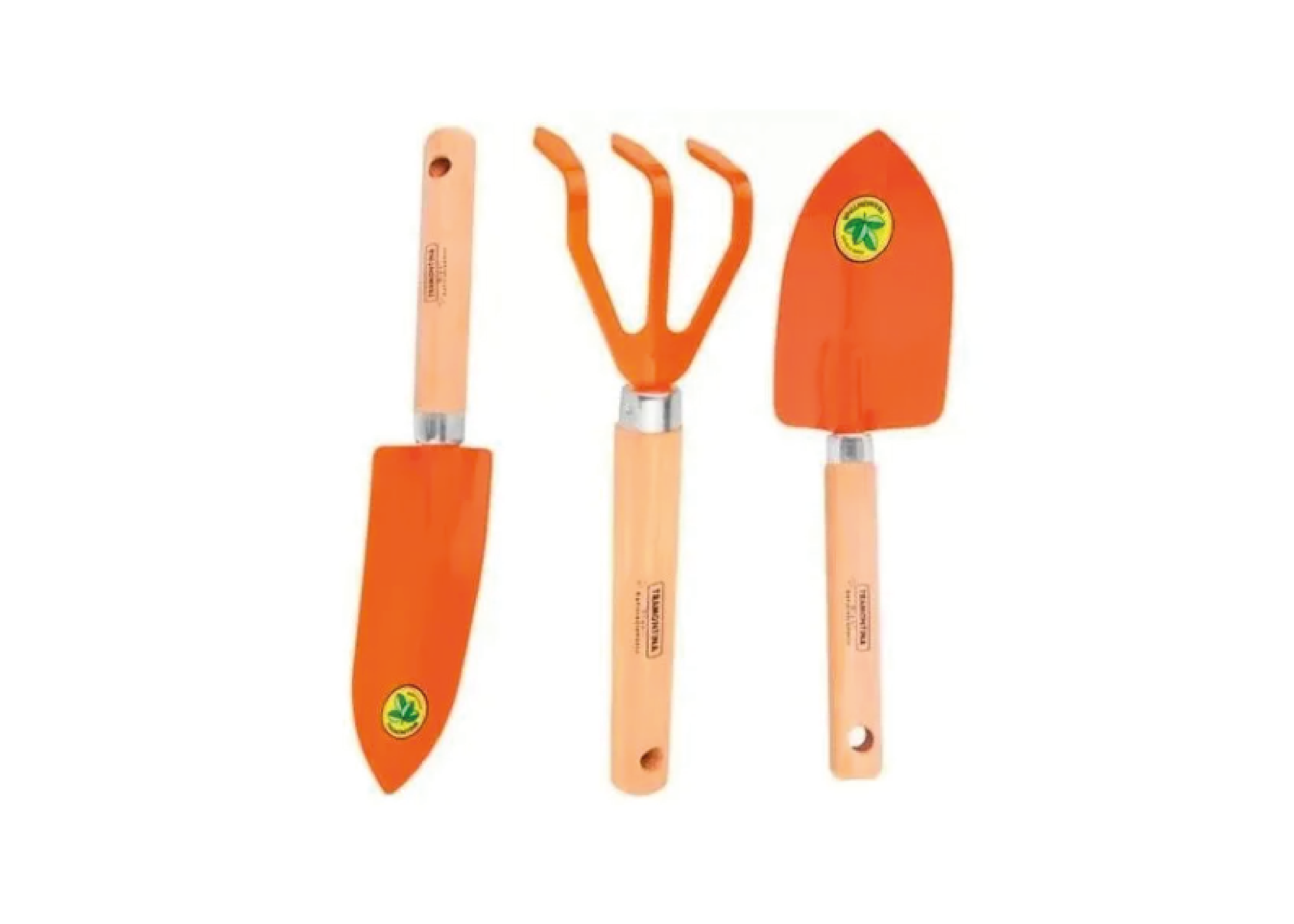  ☹ Imagen no disponible